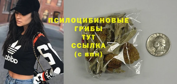 молекула духа Алзамай