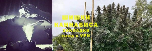 молекула духа Алзамай